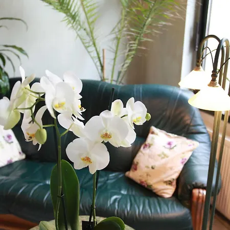 Hotel De Saxe Leipzig Hotel 3*